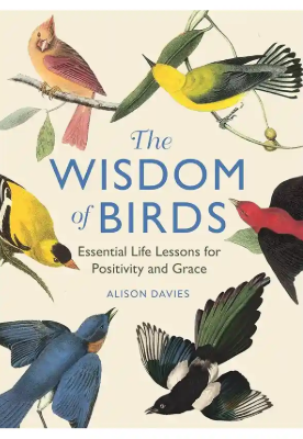 The Wisdom of Birds: Essential Life Lessons for Positivity and Grace